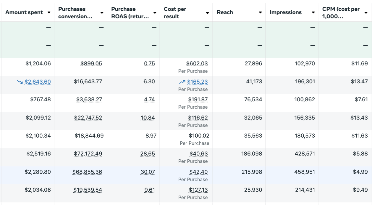Meta ads manager showing a 30x return on ad spend